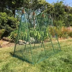 Pea Master Heavy Duty Pea & Climbing Plant Support Frame - 0.75 X 1.2 X 1.2m H -Bloom Haven Herbaceous Perennials Deals Store GSK2259HDPIC5