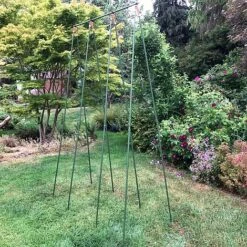 Bean Buddy Heavy Duty Runner Bean Grow Frame - 0.75 X 1.2 X 2.4m H -Bloom Haven Herbaceous Perennials Deals Store GSK2260HDPIC3
