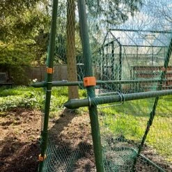Cucumber Trellis & Pea Support Frame For Heavy Climbing Plants -Bloom Haven Herbaceous Perennials Deals Store GSK2284HD201000x100020940kb