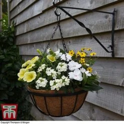 Garden Grow Hanging Basket & Liner -Bloom Haven Herbaceous Perennials Deals Store HANG T82054 C