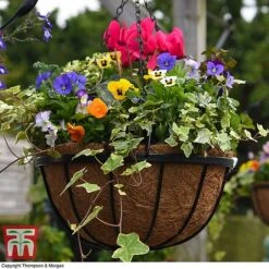 Garden Grow Hanging Basket & Liner -Bloom Haven Herbaceous Perennials Deals Store HANG T82054 D