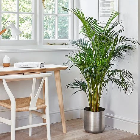 Indoor Chelsea Pewter Planter H20Cm D20Cm 2 Indoor Chelsea Pewter Planter H20Cm D20Cm - Image 2