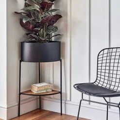 Featured Products -Bloom Haven Herbaceous Perennials Deals Store IKMCPSB76 1 copy