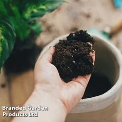 Incredicompost Peat Free Houseplant 10 Incredicompost Peat Free Houseplant -Bloom Haven Herbaceous Perennials Deals Store INCR COMPHOUSE L29533