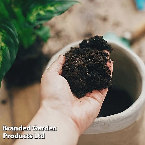 Incredicompost Peat Free Houseplant 5 Incredicompost Peat Free Houseplant - Image 5