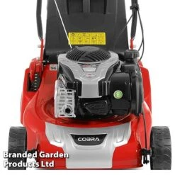 Cobra Self Propelled Briggs & Stratton 46cm Mower With Rear Roller -Bloom Haven Herbaceous Perennials Deals Store KC3548b