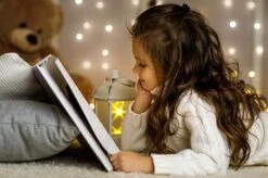 Idooka Outdoor Christmas Lights - Xmas LED Fairy Lighting IP44 Warm/Multicolour/Bright 13 Idooka Outdoor Christmas Lights - Xmas LED Fairy Lighting IP44 Warm/Multicolour/Bright -Bloom Haven Herbaceous Perennials Deals Store Kid