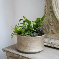 Luxe Bowl White Gold H14CM D24CM 6 Luxe Bowl White Gold H14CM D24CM -Bloom Haven Herbaceous Perennials Deals Store LBWG24 2