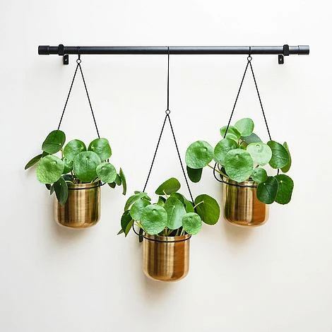 Linear Hanging Planters 81CM Black And Gold 2 Linear Hanging Planters 81CM Black And Gold - Image 2