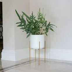 Luso Plant Stand In Gold H38Cm D27Cm 3 Luso Plant Stand In Gold H38Cm D27Cm -Bloom Haven Herbaceous Perennials Deals Store LPSG38 2