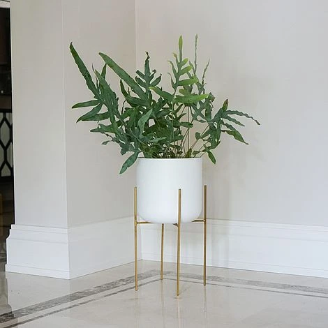 Luso Plant Stand In Gold H38Cm D27Cm 2 Luso Plant Stand In Gold H38Cm D27Cm - Image 2