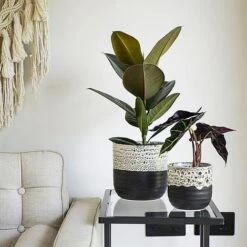 Marble Reactive Glaze Planter H21Cm D21Cm -Bloom Haven Herbaceous Perennials Deals Store MBRGP21 1