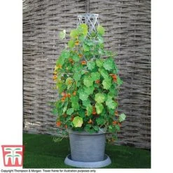 Modern Grey Patio Pot -Bloom Haven Herbaceous Perennials Deals Store MODE KA6953 C2