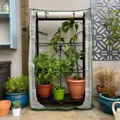 Multiflex Patio & Balcony Greenhouse Grow House & Plant Cover 11 Multiflex Patio & Balcony Greenhouse Grow House & Plant Cover -Bloom Haven Herbaceous Perennials Deals Store MULTIFLEX20POLY20100020X20100020837KB