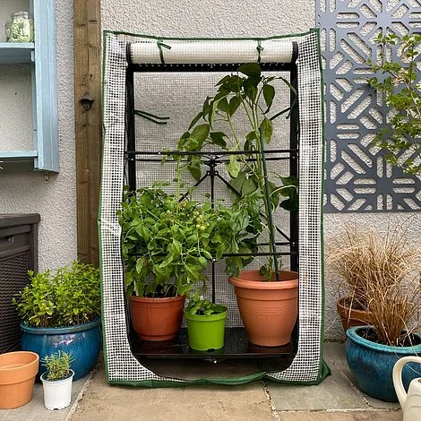 Multiflex Patio & Balcony Greenhouse Grow House & Plant Cover 4 Multiflex Patio & Balcony Greenhouse Grow House & Plant Cover - Image 4