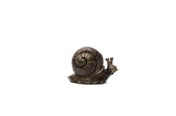 Antique Bronze Coloured Snail Potty Feet - Plant Pot Feet 9 Antique Bronze Coloured Snail Potty Feet - Plant Pot Feet -Bloom Haven Herbaceous Perennials Deals Store NEW20SNAIL20 20120 20PF0029