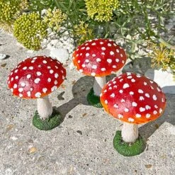 Set Of 3 Red Cap Garden Mushroom Ornaments 15 Set Of 3 Red Cap Garden Mushroom Ornaments -Bloom Haven Herbaceous Perennials Deals Store NJ1034 5