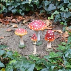 4 Garden Mushroom Red Cap Toadstool Ornaments Fairy Garden Decoration 6 4 Garden Mushroom Red Cap Toadstool Ornaments Fairy Garden Decoration -Bloom Haven Herbaceous Perennials Deals Store NJ1034 NJ1044 5