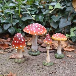 4 Garden Mushroom Red Cap Toadstool Ornaments Fairy Garden Decoration 7 4 Garden Mushroom Red Cap Toadstool Ornaments Fairy Garden Decoration -Bloom Haven Herbaceous Perennials Deals Store NJ1034 NJ1044 6