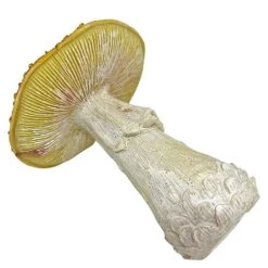 Garden Mushroom / Toadstool Ornament -Bloom Haven Herbaceous Perennials Deals Store NJ1171 2