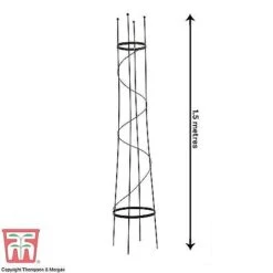 Open Top Obelisk 6 Open Top Obelisk -Bloom Haven Herbaceous Perennials Deals Store OBE KB0600 C