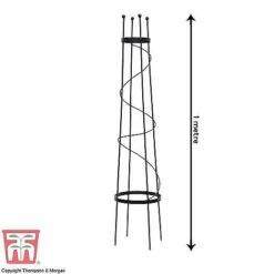 Open Top Obelisk 7 Open Top Obelisk -Bloom Haven Herbaceous Perennials Deals Store OBE KB0600 D
