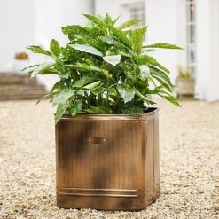 Outdoor Hampton Square Copper Metal Planter H45Cm W44Cm 3 Outdoor Hampton Square Copper Metal Planter H45Cm W44Cm -Bloom Haven Herbaceous Perennials Deals Store OHSCMP44 1