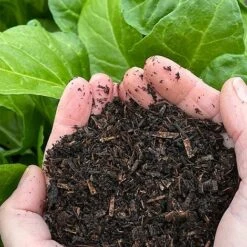 Natural Grower Certified Organic Peat Free Compost - 50 Litres -Bloom Haven Herbaceous Perennials Deals Store Organic20Compost