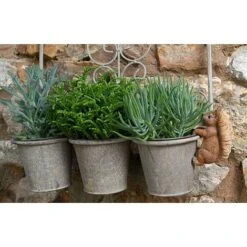 Full Colour Beatrix Potter Squirrel Nutkin Pot Buddy - Pot Hanger 11 Full Colour Beatrix Potter Squirrel Nutkin Pot Buddy - Pot Hanger -Bloom Haven Herbaceous Perennials Deals Store PBBP007C 2 new