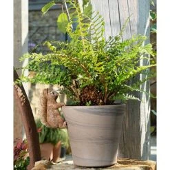 Full Colour Beatrix Potter Squirrel Nutkin Pot Buddy - Pot Hanger 13 Full Colour Beatrix Potter Squirrel Nutkin Pot Buddy - Pot Hanger -Bloom Haven Herbaceous Perennials Deals Store PBBP007C 5 new