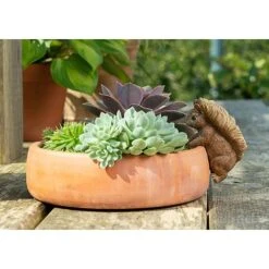 Full Colour Beatrix Potter Squirrel Nutkin Pot Buddy - Pot Hanger 9 Full Colour Beatrix Potter Squirrel Nutkin Pot Buddy - Pot Hanger -Bloom Haven Herbaceous Perennials Deals Store PBBP007C 6 new