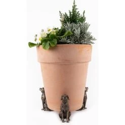Antique Bronze Coloured Sitting Labrador Potty Feet - Plant Pot Feet 13 Antique Bronze Coloured Sitting Labrador Potty Feet - Plant Pot Feet -Bloom Haven Herbaceous Perennials Deals Store PF0006 4 new