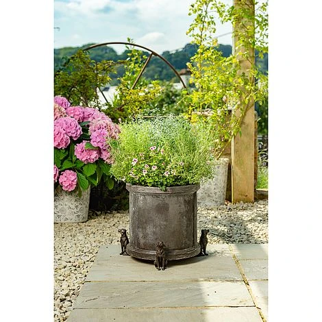 Antique Bronze Coloured Sitting Labrador Potty Feet - Plant Pot Feet 7 Antique Bronze Coloured Sitting Labrador Potty Feet - Plant Pot Feet - Image 7