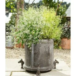 Antique Bronze Coloured Horse Potty Feet - Plant Pot Feet 9 Antique Bronze Coloured Horse Potty Feet - Plant Pot Feet -Bloom Haven Herbaceous Perennials Deals Store PF0037 4 new