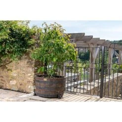 Antique Bronze Coloured Moongazing Hare Potty Feet - Plant Pot Feet 13 Antique Bronze Coloured Moongazing Hare Potty Feet - Plant Pot Feet -Bloom Haven Herbaceous Perennials Deals Store PF0057 5 new