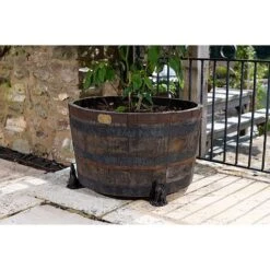 Antique Bronze Coloured Moongazing Hare Potty Feet - Plant Pot Feet 14 Antique Bronze Coloured Moongazing Hare Potty Feet - Plant Pot Feet -Bloom Haven Herbaceous Perennials Deals Store PF0057 6 new