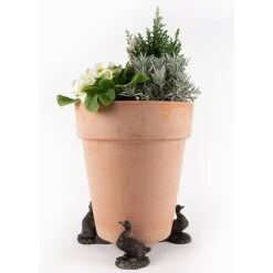 Antique Bronze Coloured Aylesbury Duck Potty Feet - Plant Pot Feet 12 Antique Bronze Coloured Aylesbury Duck Potty Feet - Plant Pot Feet -Bloom Haven Herbaceous Perennials Deals Store PF0077 4 new