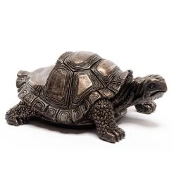 Antique Bronze Coloured Tortoise Potty Feet - Plant Pot Feet -Bloom Haven Herbaceous Perennials Deals Store PF0084 6 new