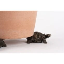 Antique Bronze Coloured Tortoise Potty Feet - Plant Pot Feet -Bloom Haven Herbaceous Perennials Deals Store PF0084 8 new