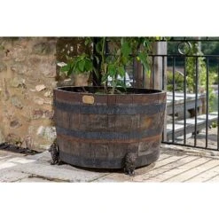 Antique Bronze Coloured Sitting Lion Potty Feet - Plant Pot Feet 12 Antique Bronze Coloured Sitting Lion Potty Feet - Plant Pot Feet -Bloom Haven Herbaceous Perennials Deals Store PF0094 4 new