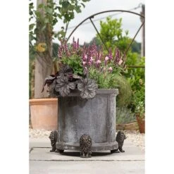 Antique Bronze Coloured Sitting Lion Potty Feet - Plant Pot Feet 9 Antique Bronze Coloured Sitting Lion Potty Feet - Plant Pot Feet -Bloom Haven Herbaceous Perennials Deals Store PF0094 5 new
