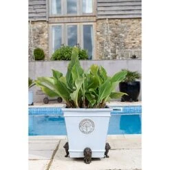 Antique Bronze Coloured Sitting Lion Potty Feet - Plant Pot Feet 13 Antique Bronze Coloured Sitting Lion Potty Feet - Plant Pot Feet -Bloom Haven Herbaceous Perennials Deals Store PF0094 6 new