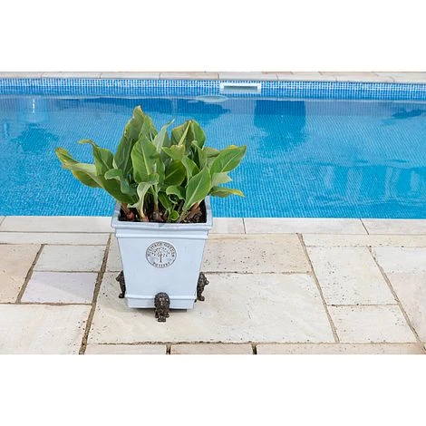 Antique Bronze Coloured Sitting Lion Potty Feet - Plant Pot Feet 4 Antique Bronze Coloured Sitting Lion Potty Feet - Plant Pot Feet - Image 4