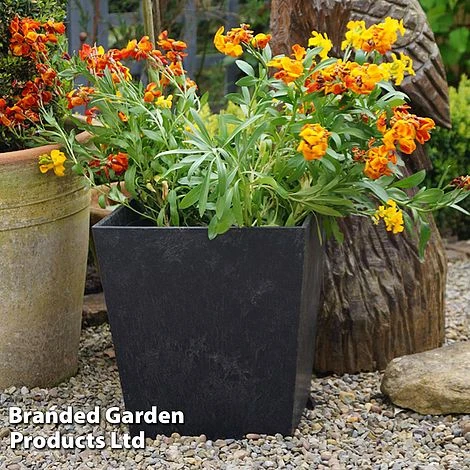 Sonata Garden Planters 4 Sonata Garden Planters - Image 4
