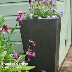 Sonata Garden Planters 28 Sonata Garden Planters -Bloom Haven Herbaceous Perennials Deals Store PLAN SLATE70CM S48202