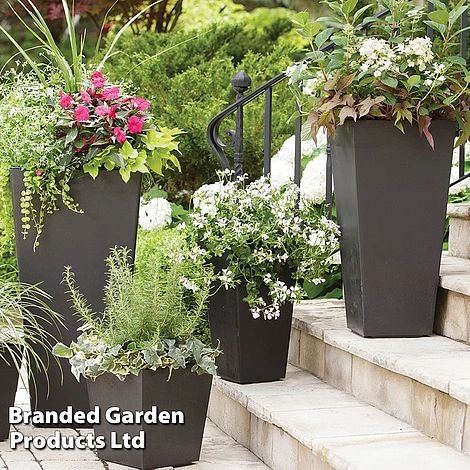 Sonata Garden Planters 2 Sonata Garden Planters - Image 2