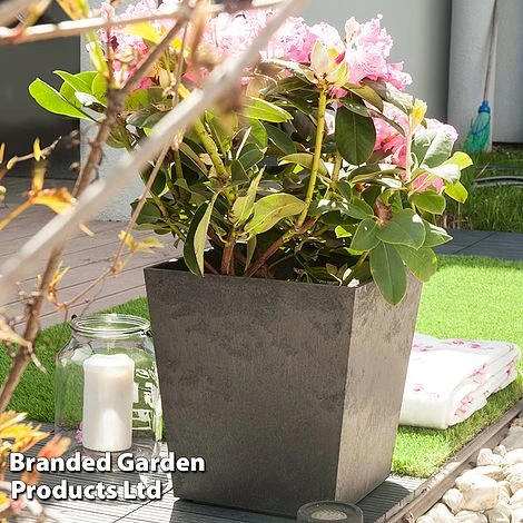 Sonata Garden Planters 14 Sonata Garden Planters - Image 14
