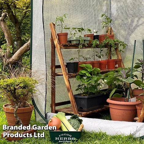 Medium Poly Pop Up (with Door) 3 Medium Poly Pop Up (with Door) - Image 3