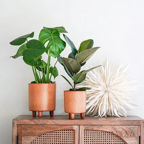 Pisa Reactive Glaze Planter Fawn H24CM D20CM 2 Pisa Reactive Glaze Planter Fawn H24CM D20CM - Image 2