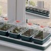 Propagator - Electric Windowsill Propagator Super 7